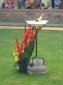 Rebuda de la Flama del Canigó a Sant Joan de les Abadesses, 2008 