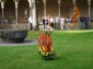 Rebuda de la Flama del Canigó a Sant Joan de les Abadesses, 2008 