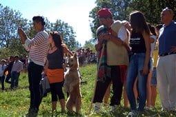 53è Concurs de Gossos d'Atura de Castellar de n'Hug 