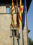 Manifestació 10-J: les fotos dels ciutadans Despenjada de la bandera espanyola a la Diputació de Barcelona. Foto: Montse Pinyot