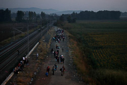 El drama dels refugiats sirians, a la frontera de Macedònia Grups de sirians caminen per arribar a la frontera aquesta matinada (25 d'agost). Foto: Sergi Cámara