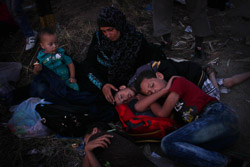 El drama dels refugiats sirians, a la frontera de Macedònia Una família descansa després d'arribar a la frontera i afegir-se als centenars de persones que esperen per travessar-la (25 d'agost). Foto: Sergi Cámara