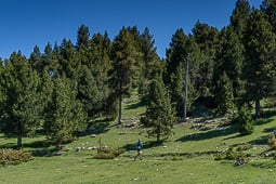 Berga Trail 