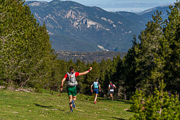 Berga Trail 