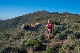 Mitja Marató de Muntanya de l'Albera 