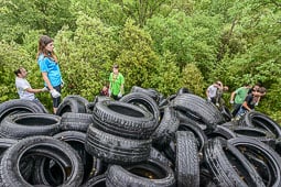 Recollida de pneumàtics abocats il·legalment a Sant Pere de Torelló 