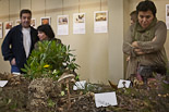 Exposició: «Terra de Bolets» a St. Julià de Vilatorta  