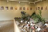 Exposició: «Terra de Bolets» a St. Julià de Vilatorta 