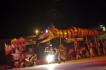 Festa del Serpent de Manlleu 2012 
