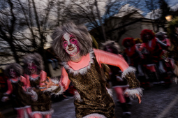 Carnaval d'Olot, 2016 
