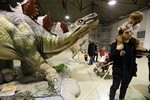 Exposició Dinosaures XXL a Terrassa 
