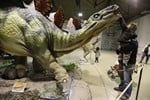Exposició Dinosaures XXL a Terrassa 