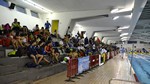 Campionat de Catalunya Absolut Open de Natació a Terrassa 