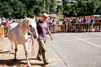 Fira Concurs de Bestiar d'Andorra la Vella 