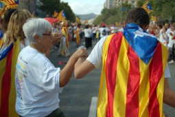 Via Catalana a la Meridiana (11 de setembre) 