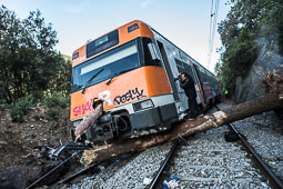 Un tren topa contra un arbre i descarrila prop de la Garriga 