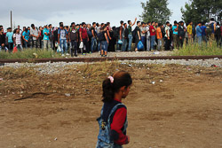 El drama dels refugiats sirians, a la frontera de Macedònia Cua per entrar a Macedònia. (24 d'agost). Foto: Sergi Cámara