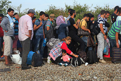El drama dels refugiats sirians, a la frontera de Macedònia Cua de refugiats sirians, afganesos i iraquians a la frontera Els policies macedonis deixen passar la frontera de deu en deu. (24 d'agost). Foto: Sergi Cámara