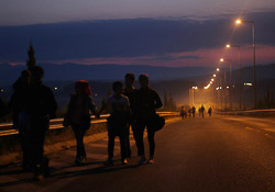 El drama dels refugiats sirians, a la frontera de Macedònia Grups de sirians caminen per arribar a la frontera aquesta matinada (25 d'agost). Foto: Sergi Cámara