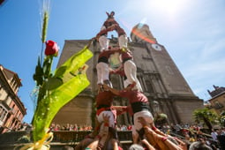 Sant Jordi 2017 <p>Olot. Foto: Adrià Bosch</p>