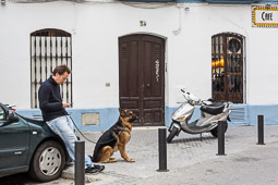 Eleccions andaluses 2015 Els sevillans segueixen amb la rutina quotidiana a l'espera del tancament dels col·legis.