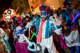 El Carnaval de Terra Endins 2015 en 35 imatges 
