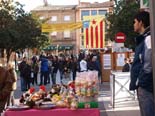 Festa Major de Sant Andreu de Tona 2010 